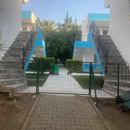 The Palm Club