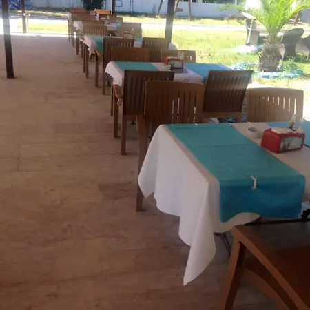 The Palm Club *